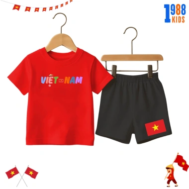 Bộ đồ thun in hình Việt Nam, Cờ 2/9, cotton xịn co giãn 4 chiều cho bé trai, bé gái - Giá ưu đãi 169k 10
