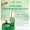 Bộ Đôi B5 Lục Tảo Y.SKIN 30ml Collagen Skincare Son Massage Rau Má - Dưỡng ẩm sâu, giảm nếp nhăn, giá ưu đãi 355.000đ 3