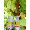 Bộ đôi vàng Siêu Ra Hoa - Siêu Dưỡng Trái Canxi Bo Hiệu Quả Cây Trồng Giá 130.000 VND