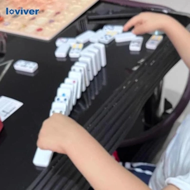 Bộ Domino Double Six 28 viên - Dành cho trẻ 8 tuổi, giải đấu, quà Giáng sinh, 96.120 VND