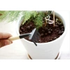 Bộ dụng cụ làm vườn mini 3 món chuyên dụng trồng sen đá, cán gỗ - Giá chỉ 9.800₫ 2