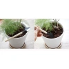 Bộ dụng cụ làm vườn mini 3 món chuyên dụng trồng sen đá, cán gỗ - Giá chỉ 9.800₫ 3
