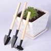 Bộ dụng cụ làm vườn mini 3 món chuyên dụng trồng sen đá, cán gỗ - Giá chỉ 9.800₫ 9