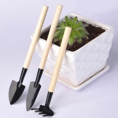 Bộ dụng cụ làm vườn mini 3 món chuyên dụng trồng sen đá, cán gỗ - Giá chỉ 9.800₫ 9 Bộ dụng cụ làm vườn mini 3 món chuyên dụng trồng sen đá, cán gỗ - Giá chỉ 9.800₫ 9
