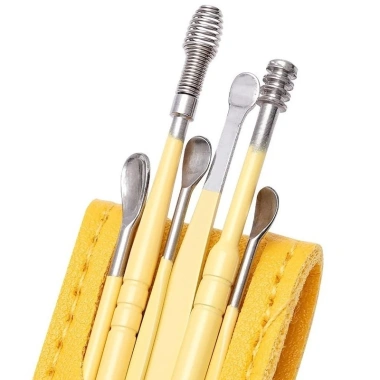 Bộ Dụng Cụ Lấy Ráy Tai Thép Không Gỉ Đa Màu kèm Túi và Cọ Vệ Sinh - Giá 45.210₫