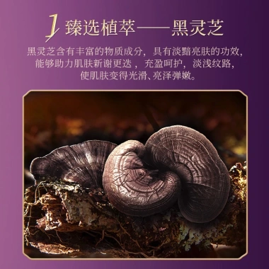 Bộ Dưỡng Da Hàn Quốc Ganoderma Lucidum Dưỡng Ẩm Toner Lotion - Giá Ưu Đãi 437k