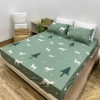Bộ Ga Gối Cotton Poly 50x70 cm M2/M6/M8/2M2 - Ga + 2 vỏ gối nằm, chỉ 85.000đ 7