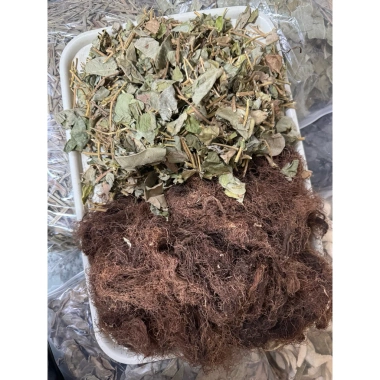 Bổ Gan Thận Kim Tiền Thảo Râu Ngô Hỗ Trợ Tiết Niệu Giải Độc Gan Lợi Tiểu Mèo Cú 18.100 VND 9