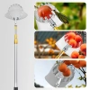 Bộ Gậy Vợt Hái Trái Cây Inox 3-6m – Chắc Chắn, Linh Hoạt, Giá Ưu Đãi 55k 3