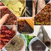 Bộ gia vị truyền thống cho bếp: phở, lẩu, nướng - Quế, Hồi, Tiêu, Thảo quả, Nguyệt quế - Giá chỉ 25.000đ (giá gốc 31.750đ)