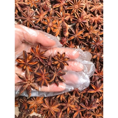 Bộ gia vị truyền thống cho bếp: phở, lẩu, nướng - Quế, Hồi, Tiêu, Thảo quả, Nguyệt quế - Giá chỉ 25.000đ (giá gốc 31.750đ) 3