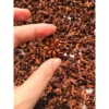 Bộ gia vị truyền thống cho bếp: phở, lẩu, nướng - Quế, Hồi, Tiêu, Thảo quả, Nguyệt quế - Giá chỉ 25.000đ (giá gốc 31.750đ) 4