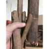Bộ gia vị truyền thống cho bếp: phở, lẩu, nướng - Quế, Hồi, Tiêu, Thảo quả, Nguyệt quế - Giá chỉ 25.000đ (giá gốc 31.750đ) 7