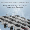 Bộ gối đầu tựa lưng QUEES 3 chi tiết, thiết kế hoàn hảo, giá ưu đãi 280.000 VND 7
