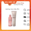 Bộ gội xả cao cấp KOCHIE 80ml x2 - Du lịch tiện lợi, giá ưu đãi 159.000₫ 9
