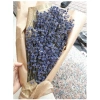 Bó hoa khô lavender 130g nhập Anh Pháp - video thật, tặng túi thơm, giá ưu đãi 115k 2