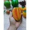 Bộ hoa quả nhựa to giống thật 99% đồ chơi giáo dục cho bé giá giảm 239.000 VND 2
