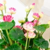 Bó Hoa Sen Nhân Tạo + Hoa Lily Nước Cây - Trang Trí Nhà Cửa, Giá 42.151₫ 3