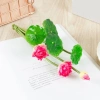 Bó Hoa Sen Nhân Tạo + Hoa Lily Nước Cây - Trang Trí Nhà Cửa, Giá 42.151₫ 5