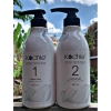 Bộ kem phục hồi cao cấp Kochie 450ml*2 cho tóc Nhật Bản - Dưỡng sâu, giá 892.500 VND 2