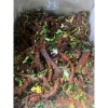 Bò khô 1kg Đập tỏi lá chanh Xé sợi: Siêu ngon, giảm giá 380k, hương vị đậm đà 5