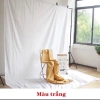 Bộ khung treo và phông chụp ảnh chữ U 2x3m - tặng 4 kẹp, giá ưu đãi 179k 6