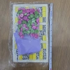 Bộ lô tô giải trí giá rẻ - Vui vẻ quây quần gia đình, giảm còn 25.000 đồng 2