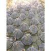 Bộ Lồng Bàn Mẹt Tre Giá Rẻ - Giảm 27k - Lồng Bàn Tre Tự Nhiên Chỉ 90k 3