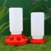 Bộ Máng Ăn & Bình Nước Cho Gà Rutin, Gà Con, Vịt Con, Cút – Chỉ 26.532₫ (Giảm từ 34.226₫) 2
