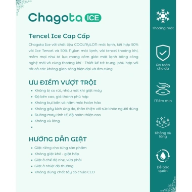 Bộ Nệm Nhà Trẻ 5 Món Rayon Microfiber Chagota Bóng Mịn Hiện Đại, Kèm Ruột Gối, Giá 400k