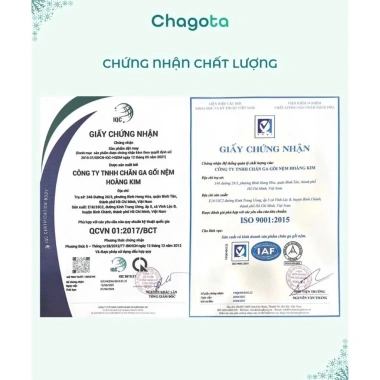 Bộ Nệm Nhà Trẻ 5 Món Rayon Microfiber Chagota Bóng Mịn Hiện Đại, Kèm Ruột Gối, Giá 400k