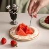 Bộ nĩa trái cây thép không gỉ gia đình kèm lọ đựng bánh tráng, an toàn cho trẻ 4