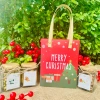 Bộ quà Noel Giáng sinh - Hộp trà thảo mộc kèm thiệp và túi, giảm giá 109.000₫ 3