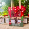 Bộ quà Noel Giáng sinh - Hộp trà thảo mộc kèm thiệp và túi, giảm giá 109.000₫ 6