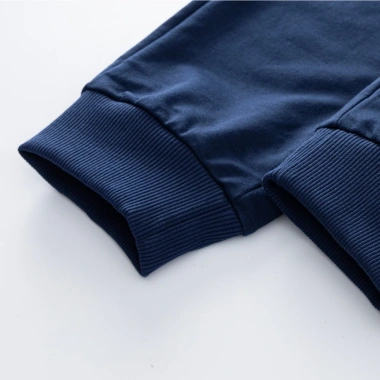 Bộ quần áo nỉ nam trơn S2 SPORT thu đông thêu hình nổi, jogger cạp chun - 415.000đ