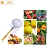 Bộ Sào Hái Trái Cây Trên Cao 3-7m 9 Món Inox: Vợt, Cưa, Liềm, Móc Đa Năng, Chổi Lau - Giá 149.000 VND 5