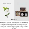 Bộ Sét Quà Tặng Nến Thơm & Tinh Dầu LUXURIOUS - Thơm Phòng, Giá chỉ 265.000₫ giảm từ 339.200₫ 8