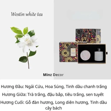 Bộ Sét Quà Tặng Nến Thơm & Tinh Dầu LUXURIOUS - Thơm Phòng, Giá chỉ 265.000₫ giảm từ 339.200₫ 8