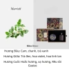 Bộ Sét Quà Tặng Nến Thơm & Tinh Dầu LUXURIOUS - Thơm Phòng, Giá chỉ 265.000₫ giảm từ 339.200₫ 10