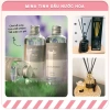 Bổ sung tinh chất nước hoa Eyun Shangrila Vanilla Chanpeye 250ml - Tinh dầu khuếch tán thơm phòng, giá chỉ 198.000 VND