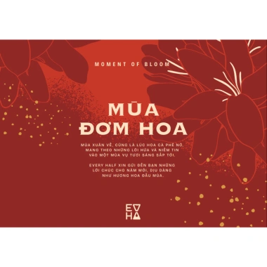 Bộ Sưu Tập Tết Cà Phê Light Roast Mùa Đơm Hoa Every Half 200g - Giá Giảm 549k 6 Bộ Sưu Tập Tết Cà Phê Light Roast Mùa Đơm Hoa Every Half 200g - Giá Giảm 549k 6