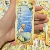 Bộ Tarot Low Scare 78 Thẻ Bí Mật Phong Cách Anime Nhật Bản, Ngôn Ngữ Hoa, Giá 81.000đ 4