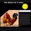 Bộ Thiến Gà 5 Món Inox Cao Cấp - Độ Bền Vượt Trội, Giá Ưu Đãi 145k 2