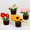 Bộ thủ công Chenilles làm hoa mini, vật liệu trang trí, hướng dẫn dự án, giá chỉ 371.800₫ 6