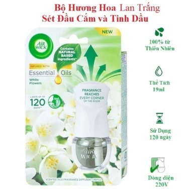 Bộ Tinh Dầu Cắm Điện 220V Thay Thế Air Wick Hương Châu Âu Thơm Phòng Giá 79.000đ