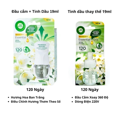 Bộ Tinh Dầu Cắm Điện Air Wick Châu Âu 220V - Hương Thơm Lâu, Giá Ưu Đãi 185.000 5