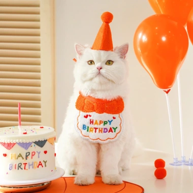 Bộ Trang Phục Sinh Nhật Dễ Thương Cho Mèo và Chó Nhỏ - Đồ Party Giá Ưu Đãi 110k 6 Bộ Trang Phục Sinh Nhật Dễ Thương Cho Mèo và Chó Nhỏ - Đồ Party Giá Ưu Đãi 110k 6
