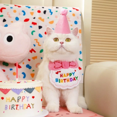 Bộ Trang Phục Sinh Nhật Dễ Thương Cho Mèo và Chó Nhỏ - Đồ Party Giá Ưu Đãi 110k 7 Bộ Trang Phục Sinh Nhật Dễ Thương Cho Mèo và Chó Nhỏ - Đồ Party Giá Ưu Đãi 110k 7