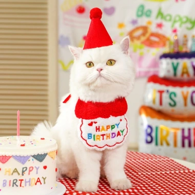 Bộ Trang Phục Sinh Nhật Dễ Thương Cho Mèo và Chó Nhỏ - Đồ Party Giá Ưu Đãi 110k 8 Bộ Trang Phục Sinh Nhật Dễ Thương Cho Mèo và Chó Nhỏ - Đồ Party Giá Ưu Đãi 110k 8