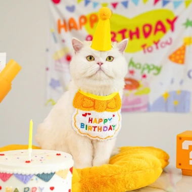 Bộ Trang Phục Sinh Nhật Dễ Thương Cho Mèo và Chó Nhỏ - Đồ Party Giá Ưu Đãi 110k 9 Bộ Trang Phục Sinh Nhật Dễ Thương Cho Mèo và Chó Nhỏ - Đồ Party Giá Ưu Đãi 110k 9